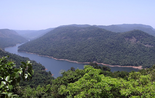 Sharavathy River